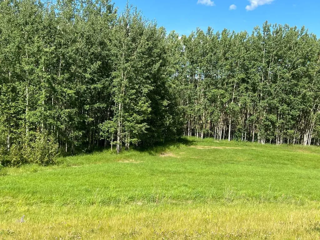 #43 River Ridge Estates Rural Yellowhead County AB T7E 3A6
