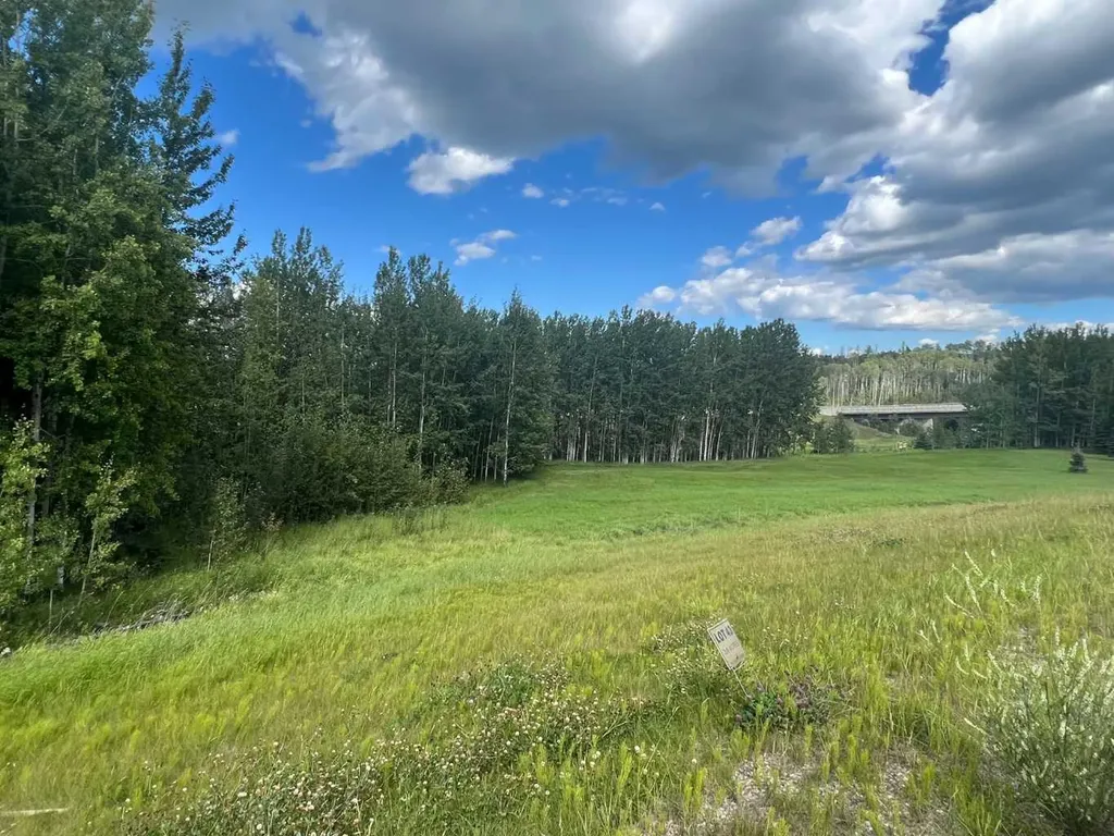 #43 River Ridge Estates Rural Yellowhead County AB T7E 3A6
