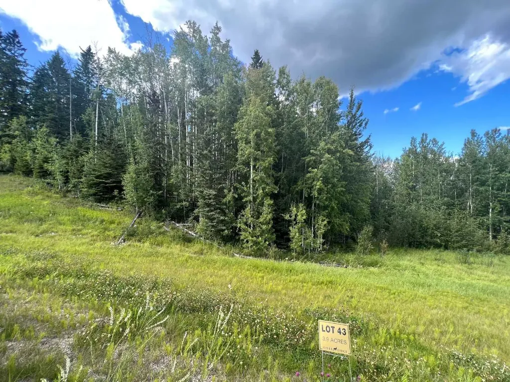 #43 River Ridge Estates Rural Yellowhead County AB T7E 3A6