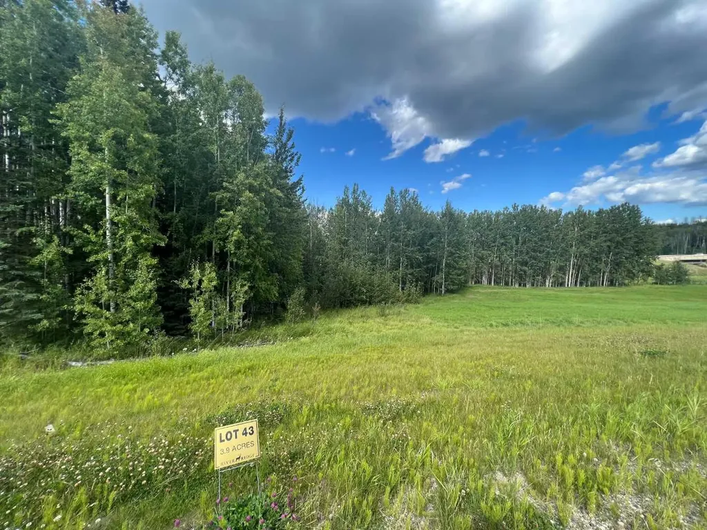 #43 River Ridge Estates Rural Yellowhead County AB T7E 3A6