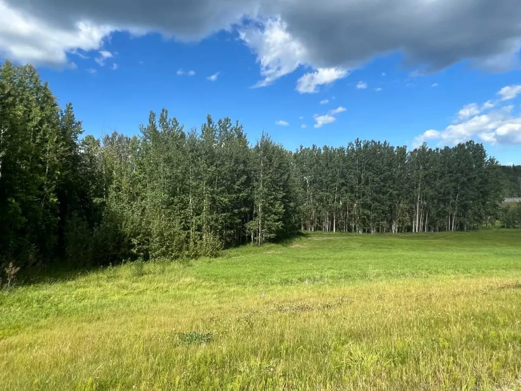 #43 River Ridge Estates Rural Yellowhead County AB T7E 3A6