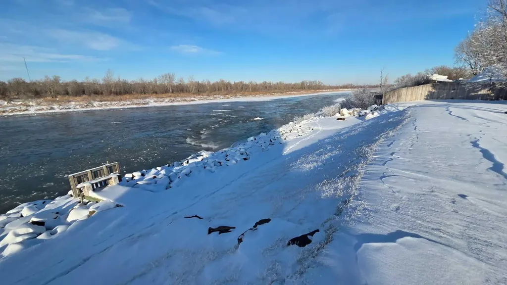 305 Lyndon Road Fort Macleod AB T0L 0Z0