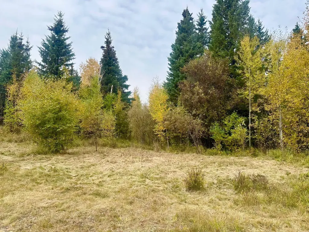 Lot 1 Mountain Springs Rural Woodlands County AB T7S 1N9