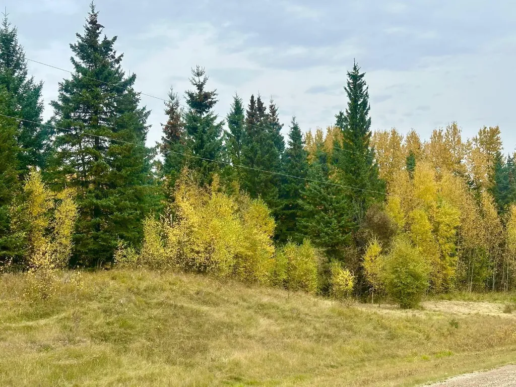 Lot 1 Mountain Springs Rural Woodlands County AB T7S 1N9