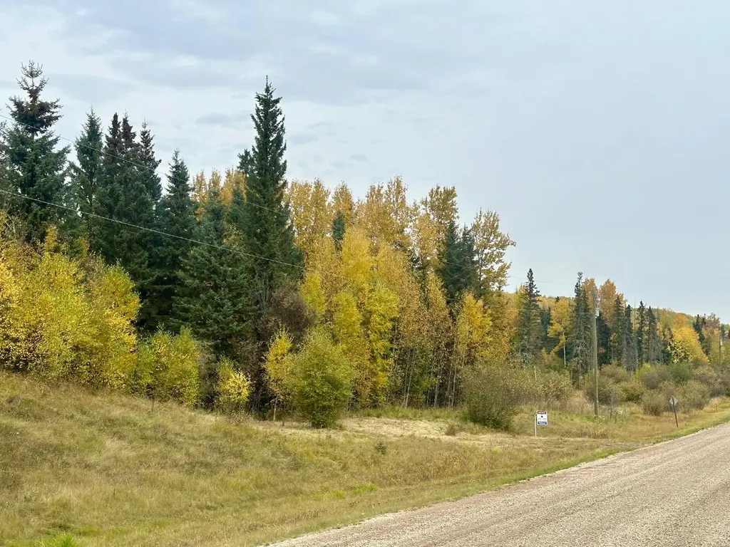 Lot 1 Mountain Springs Rural Woodlands County AB T7S 1N9