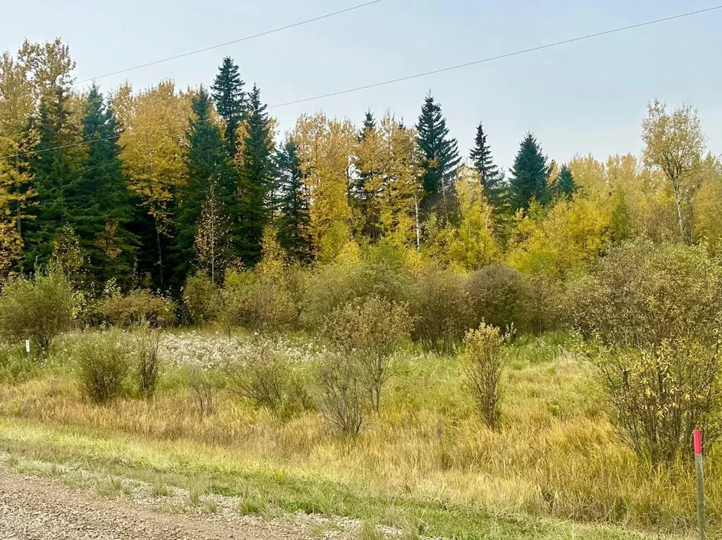 Lot 1 Mountain Springs Rural Woodlands County AB T7S 1N9