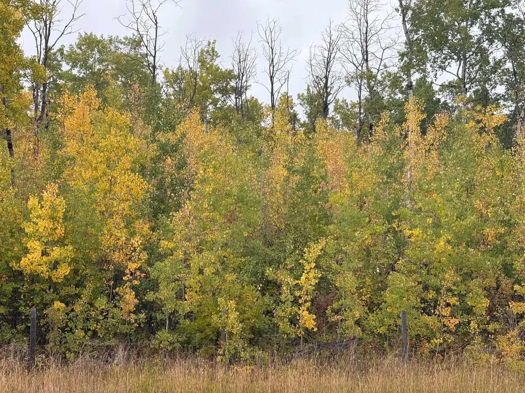12 Foot Davis Road Rural Northern Sunrise County AB T0H 2E0