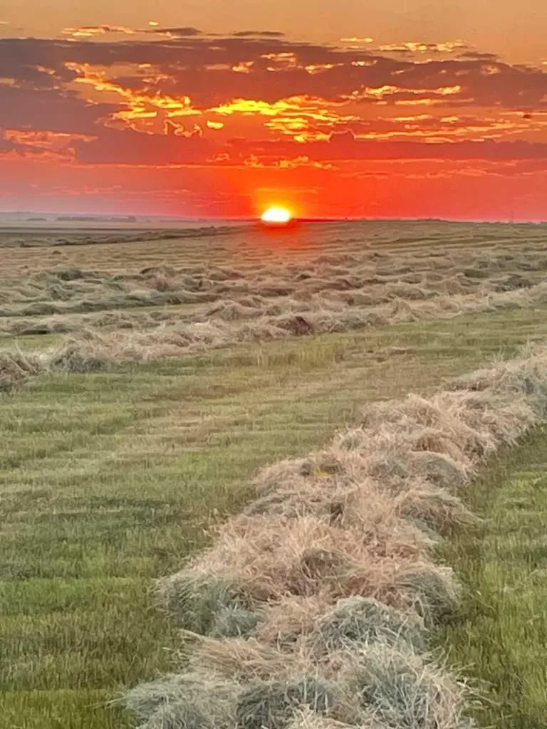 Highway 23 Rural Foothills County AB T0L 0J0