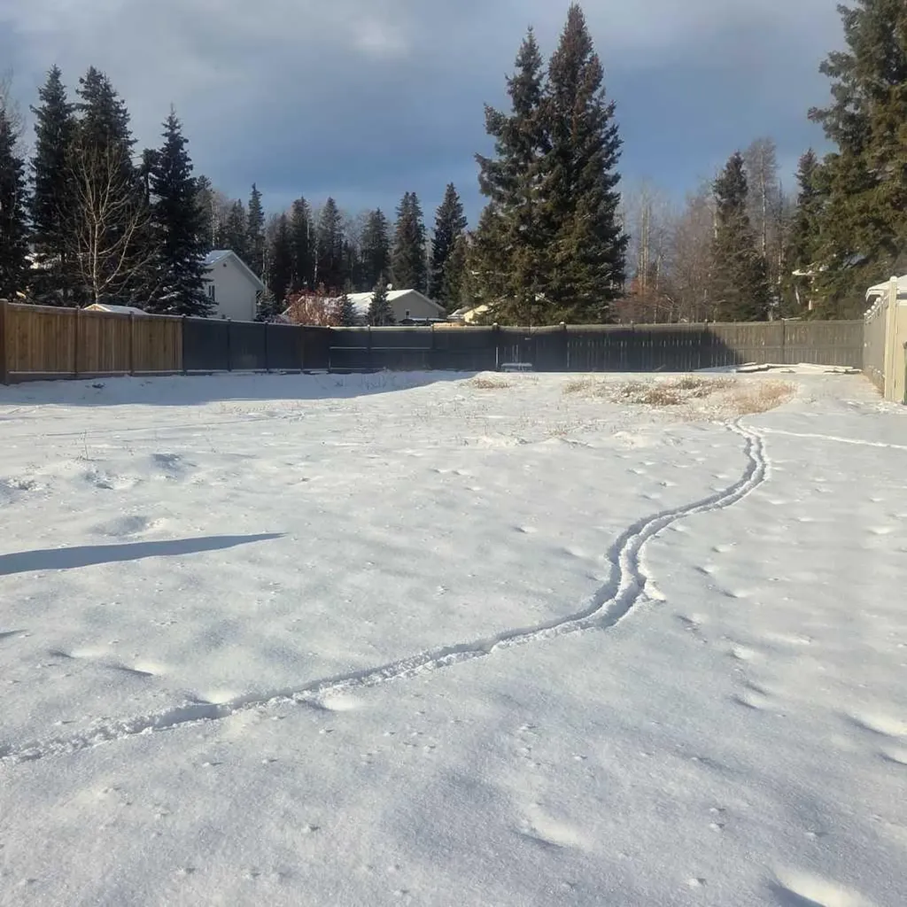 6118 11 Avenue Edson AB T7E 1Y8