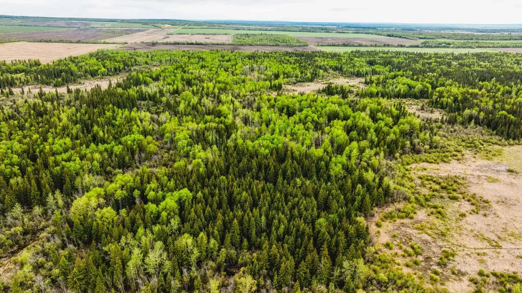SE-13-81-10-W6 Twp Road 812 Rural Saddle Hills County AB T0H 3G0