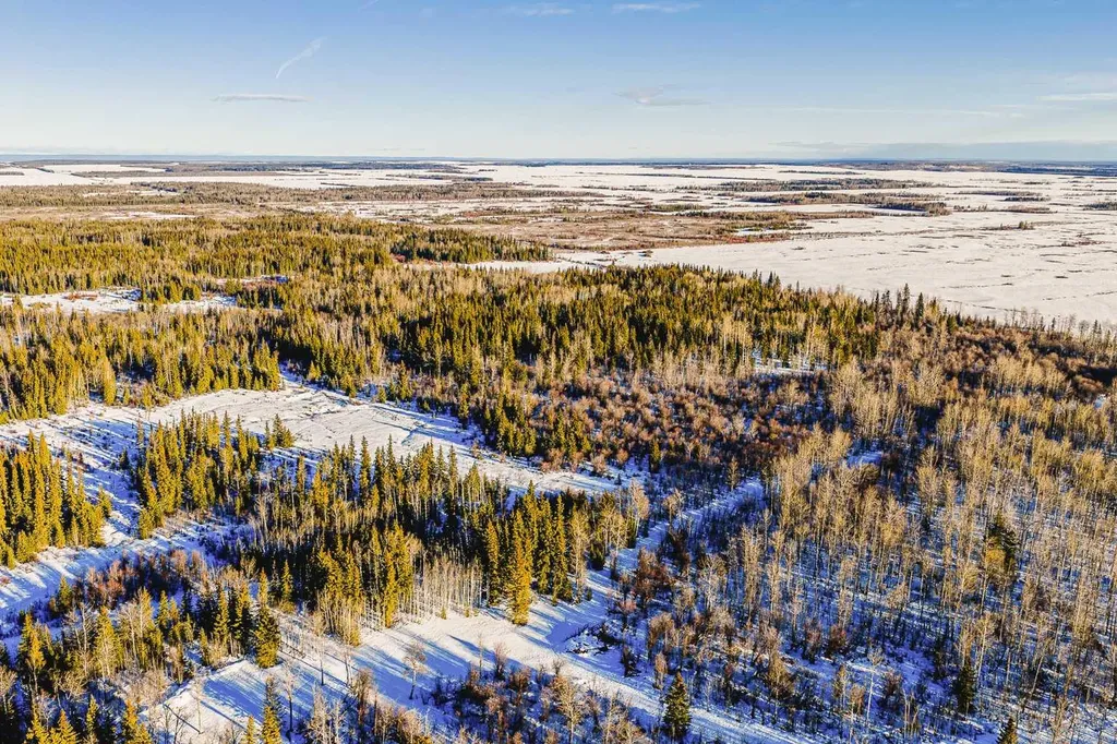SE-13-81-10-W6 Twp Road 812 Rural Saddle Hills County AB T0H 3G0