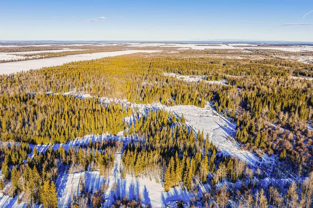 SE-13-81-10-W6 Twp Road 812 Rural Saddle Hills County AB T0H 3G0