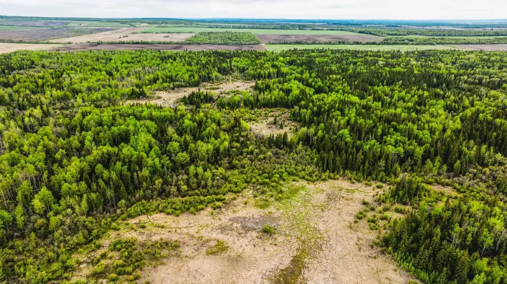 SE-13-81-10-W6 Twp Road 812 Rural Saddle Hills County AB T0H 3G0