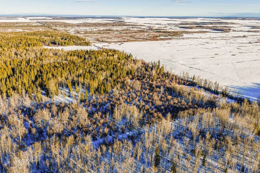 SE-13-81-10-W6 Twp Road 812 Rural Saddle Hills County AB T0H 3G0