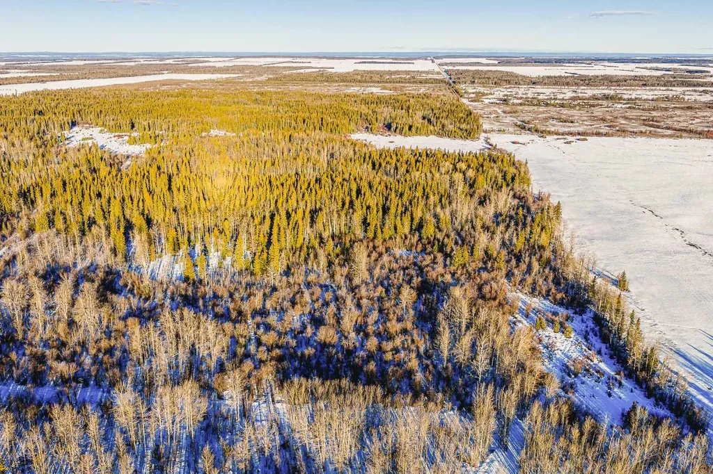 SE-13-81-10-W6 Twp Road 812 Rural Saddle Hills County AB T0H 3G0