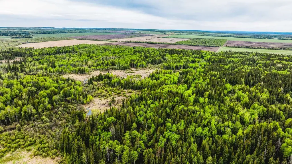 SE-13-81-10-W6 Twp Road 812 Rural Saddle Hills County AB T0H 3G0