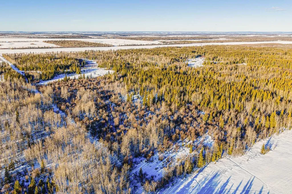 SE-13-81-10-W6 Twp Road 812 Rural Saddle Hills County AB T0H 3G0