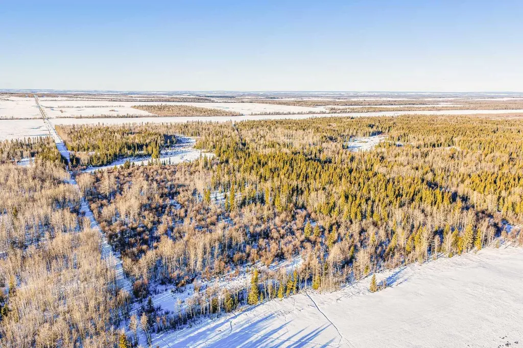 SE-13-81-10-W6 Twp Road 812 Rural Saddle Hills County AB T0H 3G0