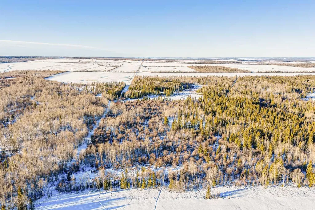 SE-13-81-10-W6 Twp Road 812 Rural Saddle Hills County AB T0H 3G0