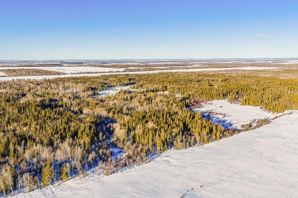 SE-13-81-10-W6 Twp Road 812 Rural Saddle Hills County AB T0H 3G0