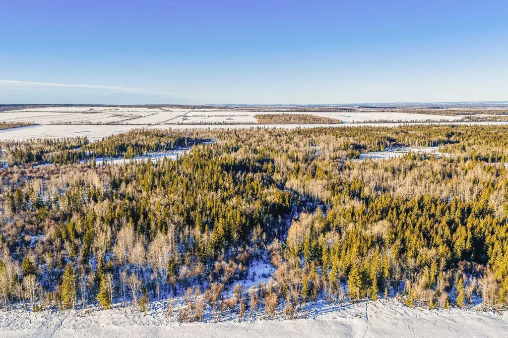 SE-13-81-10-W6 Twp Road 812 Rural Saddle Hills County AB T0H 3G0