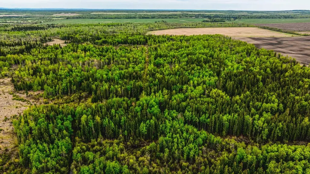 SE-13-81-10-W6 Twp Road 812 Rural Saddle Hills County AB T0H 3G0