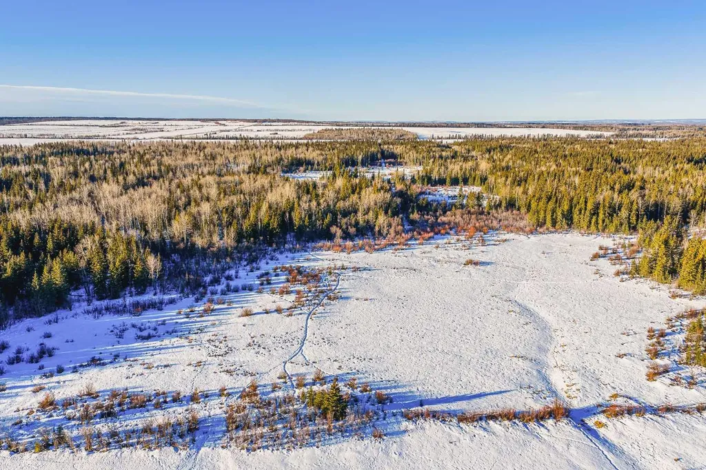 SE-13-81-10-W6 Twp Road 812 Rural Saddle Hills County AB T0H 3G0