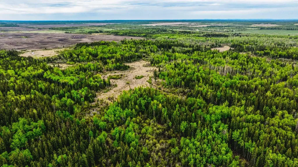 SE-13-81-10-W6 Twp Road 812 Rural Saddle Hills County AB T0H 3G0