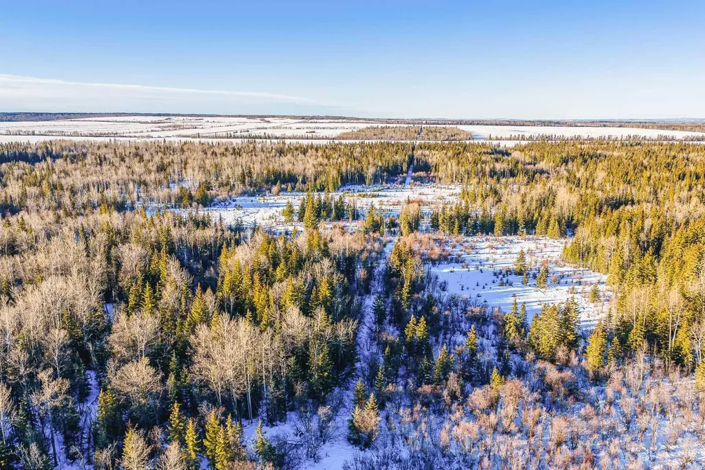 SE-13-81-10-W6 Twp Road 812 Rural Saddle Hills County AB T0H 3G0