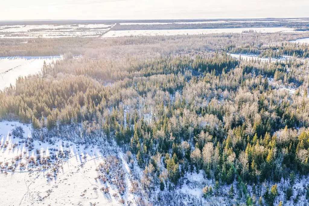 SE-13-81-10-W6 Twp Road 812 Rural Saddle Hills County AB T0H 3G0