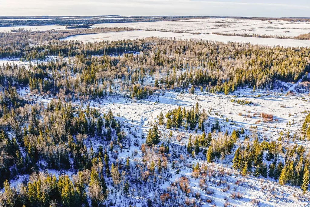 SE-13-81-10-W6 Twp Road 812 Rural Saddle Hills County AB T0H 3G0