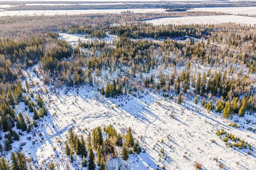 SE-13-81-10-W6 Twp Road 812 Rural Saddle Hills County AB T0H 3G0