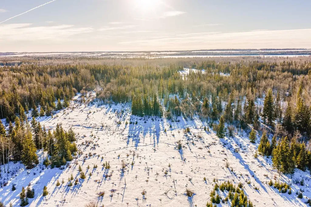 SE-13-81-10-W6 Twp Road 812 Rural Saddle Hills County AB T0H 3G0