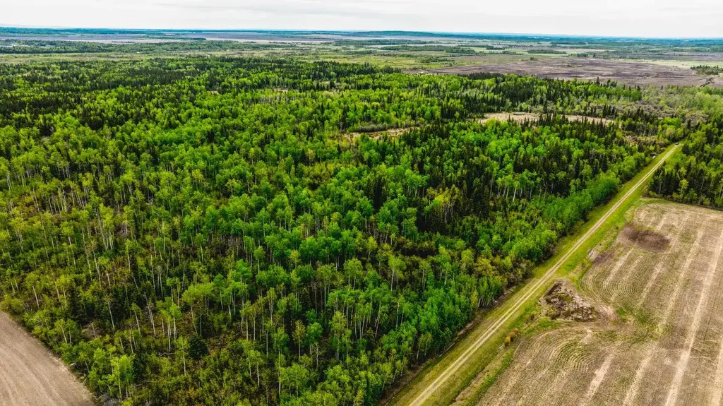 SE-13-81-10-W6 Twp Road 812 Rural Saddle Hills County AB T0H 3G0
