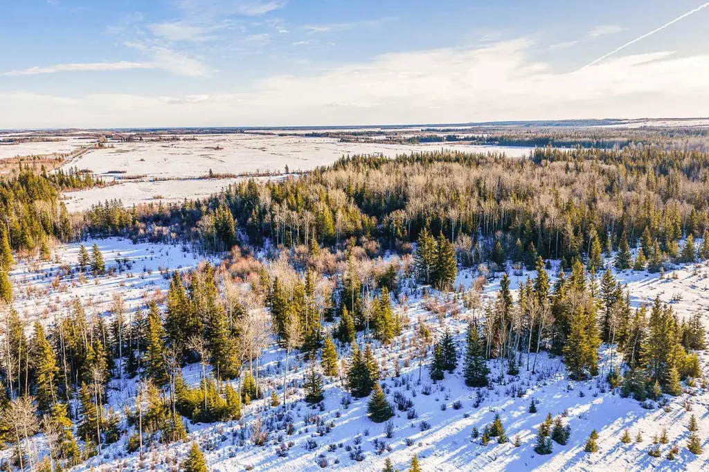 SE-13-81-10-W6 Twp Road 812 Rural Saddle Hills County AB T0H 3G0