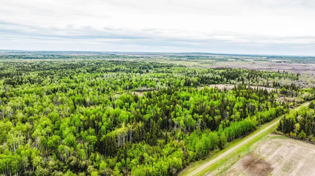 SE-13-81-10-W6 Twp Road 812 Rural Saddle Hills County AB T0H 3G0