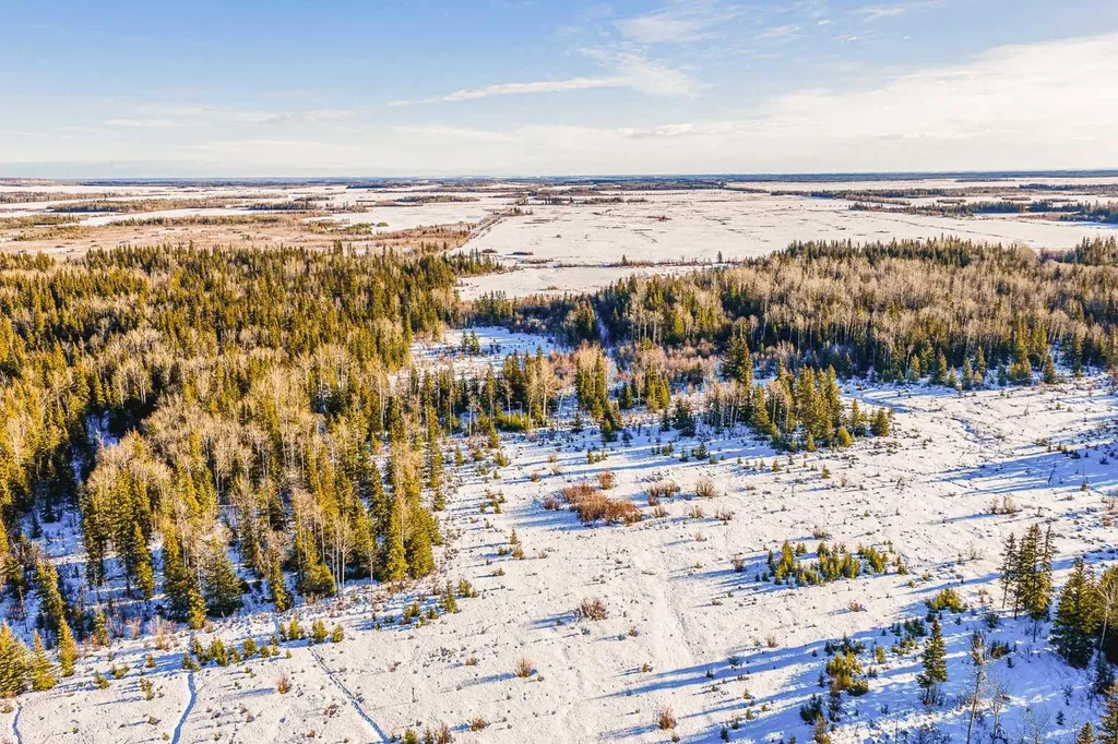 SE-13-81-10-W6 Twp Road 812 Rural Saddle Hills County AB T0H 3G0