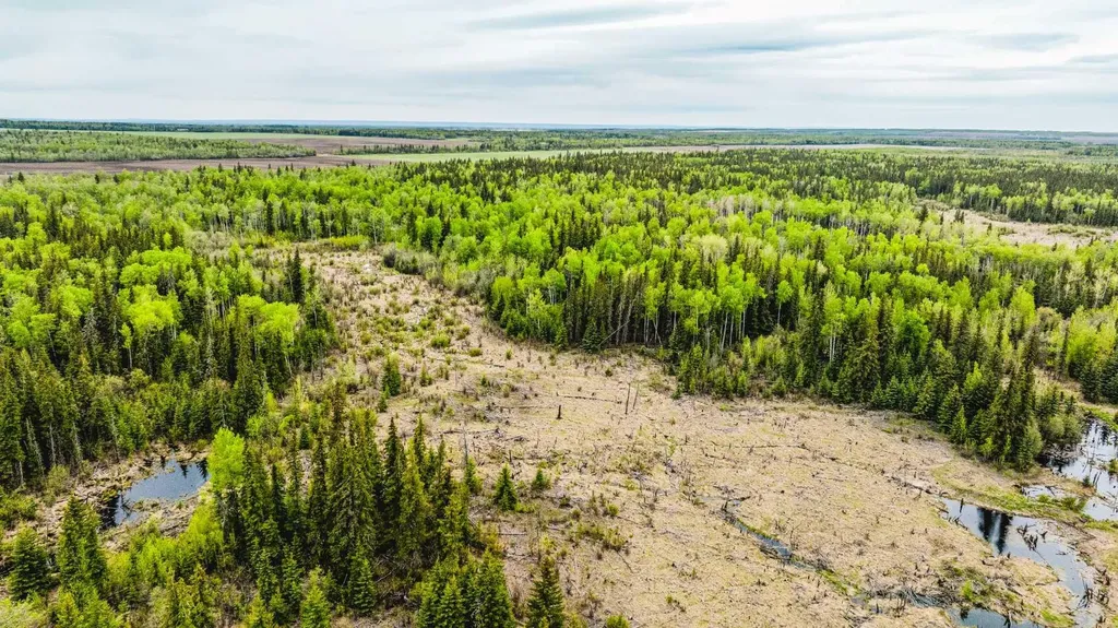 SE-13-81-10-W6 Twp Road 812 Rural Saddle Hills County AB T0H 3G0