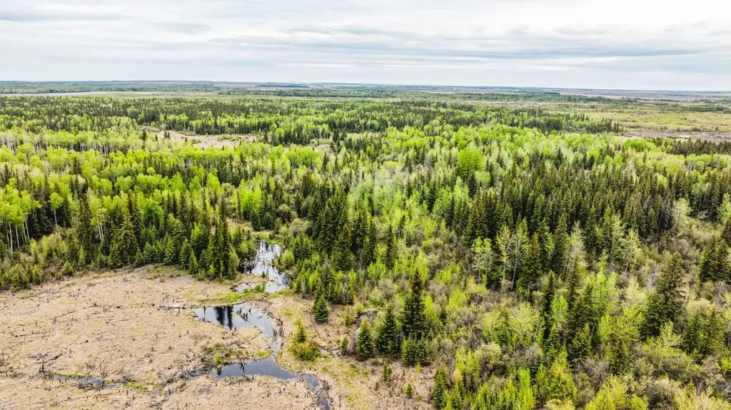 SE-13-81-10-W6 Twp Road 812 Rural Saddle Hills County AB T0H 3G0