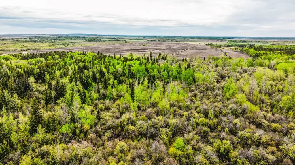 SE-13-81-10-W6 Twp Road 812 Rural Saddle Hills County AB T0H 3G0