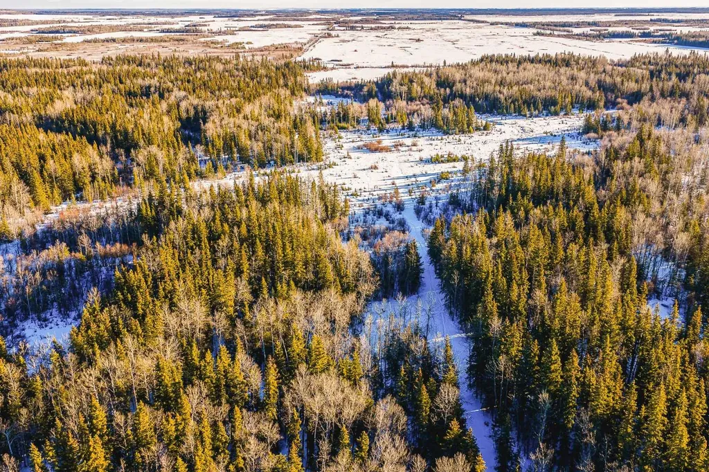SE-13-81-10-W6 Twp Road 812 Rural Saddle Hills County AB T0H 3G0