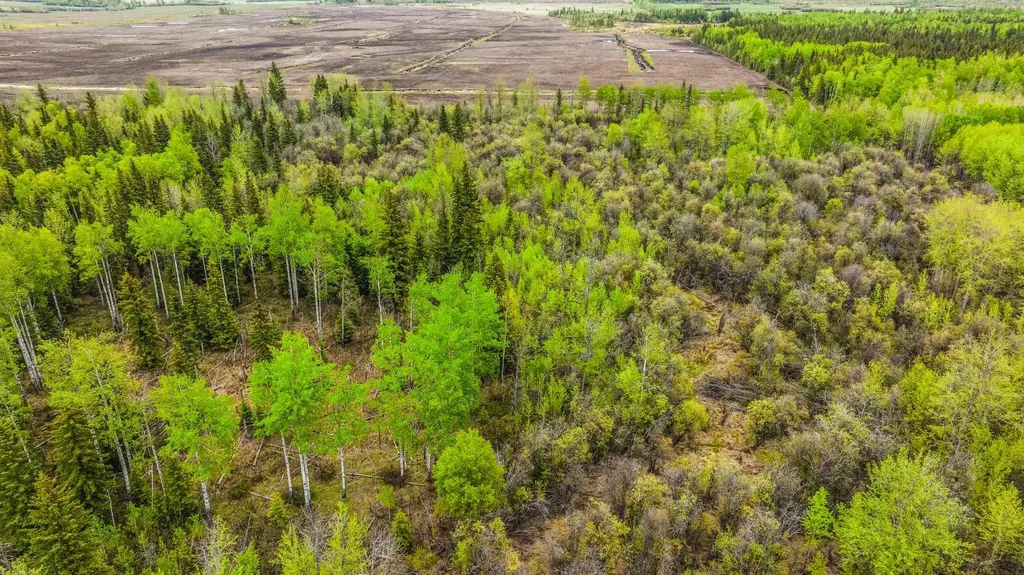 SE-13-81-10-W6 Twp Road 812 Rural Saddle Hills County AB T0H 3G0