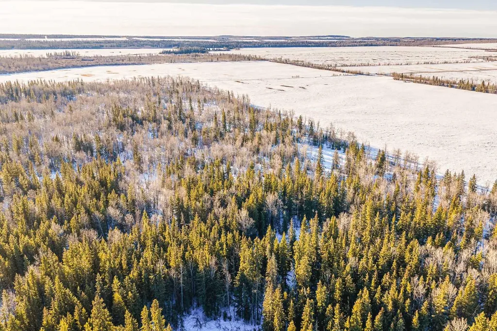 SE-13-81-10-W6 Twp Road 812 Rural Saddle Hills County AB T0H 3G0