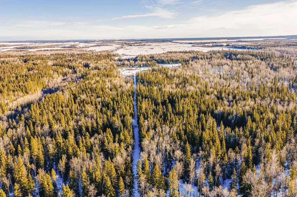 SE-13-81-10-W6 Twp Road 812 Rural Saddle Hills County AB T0H 3G0