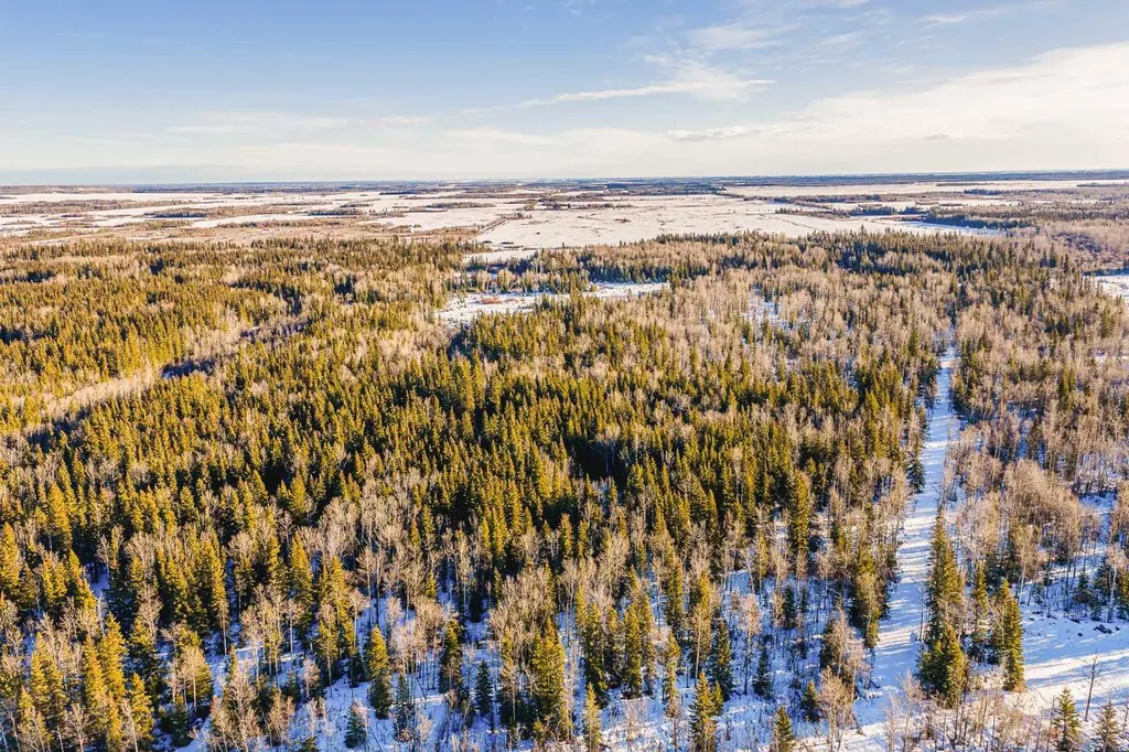 SE-13-81-10-W6 Twp Road 812 Rural Saddle Hills County AB T0H 3G0