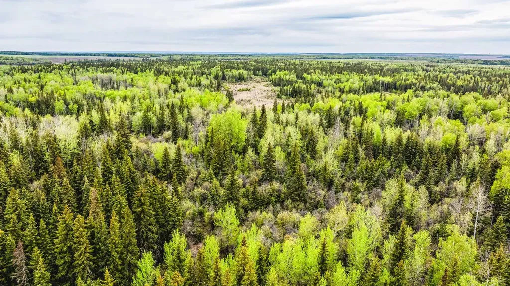 SE-13-81-10-W6 Twp Road 812 Rural Saddle Hills County AB T0H 3G0