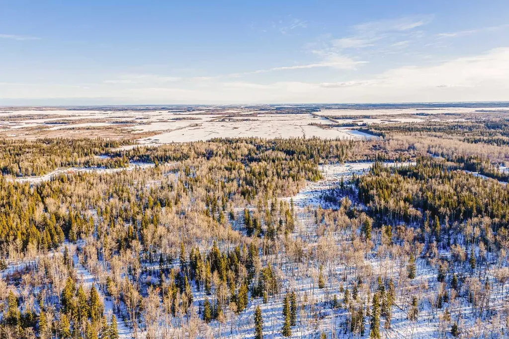 SE-13-81-10-W6 Twp Road 812 Rural Saddle Hills County AB T0H 3G0