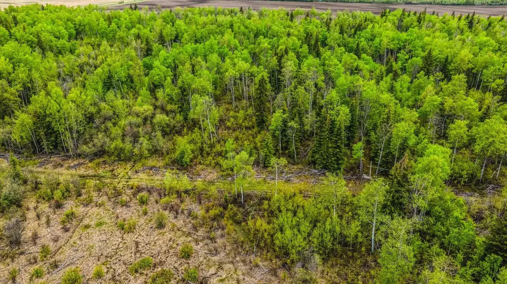 SE-13-81-10-W6 Twp Road 812 Rural Saddle Hills County AB T0H 3G0