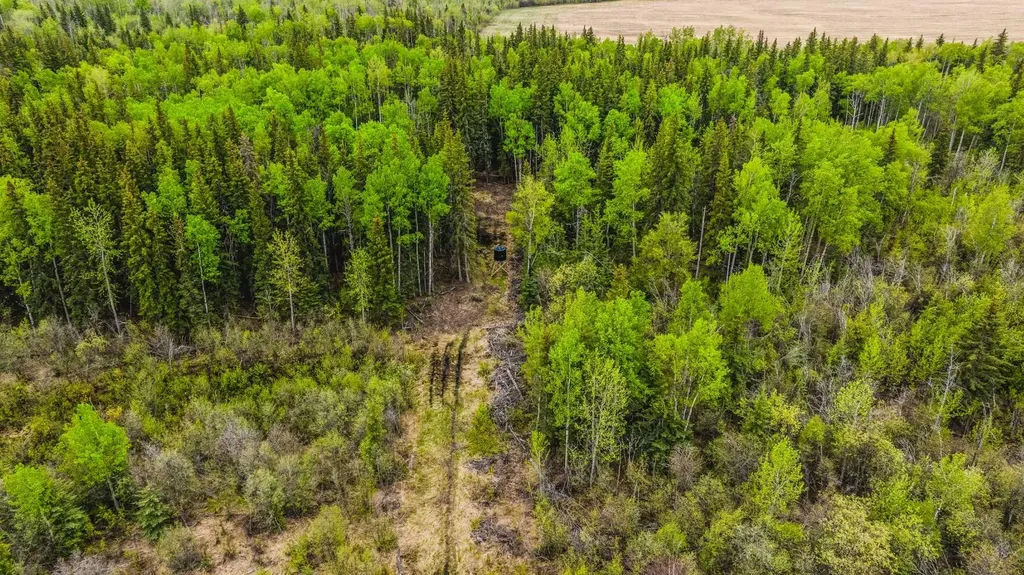SE-13-81-10-W6 Twp Road 812 Rural Saddle Hills County AB T0H 3G0