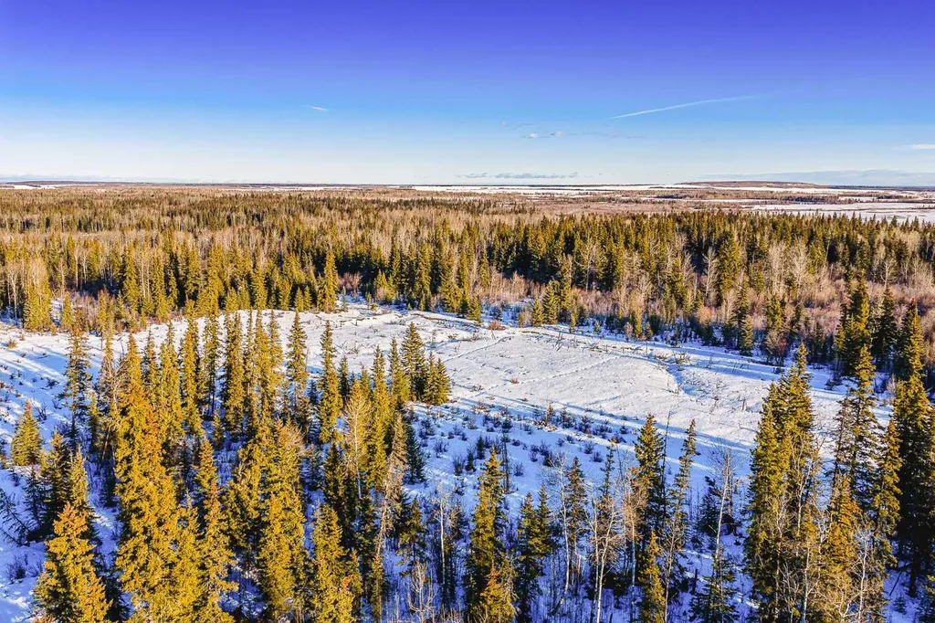 SE-13-81-10-W6 Twp Road 812 Rural Saddle Hills County AB T0H 3G0
